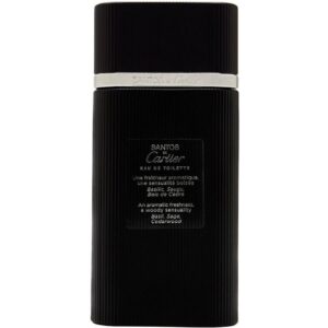 CARTIER SANTOS DE CARTIER для мужчин flaconium.ru