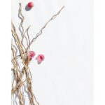 CAROLINA HERRERA VETIVER PARADISE унисекс flaconium.ru