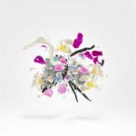 XERJOFF NEWCLEUS унисекс flaconium.ru