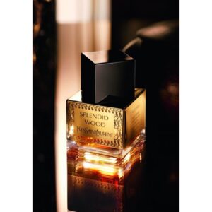 YVES SAINT LAURENT SPLENDID WOOD унисекс flaconium.ru