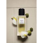 YVES SAINT LAURENT TRENCH унисекс flaconium.ru