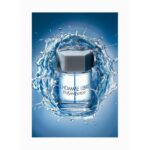 YVES SAINT LAURENT L’HOMME LIBRE COLOGNE TONIC для мужчин flaconium.ru