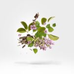 XERJOFF HOLYSM унисекс flaconium.ru