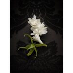 YVES SAINT LAURENT SUPREME BOUQUET (LE VESTIAIRE DES PARFUMS) унисекс flaconium.ru