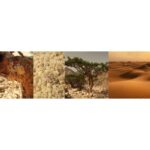 WIDIAN LUBAN унисекс flaconium.ru