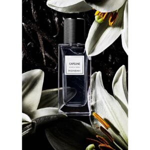 YVES SAINT LAURENT CAPELINE унисекс flaconium.ru