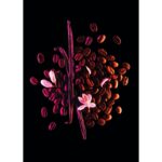 YVES SAINT LAURENT BLACK OPIUM STORM ILLUSION для женщин flaconium.ru