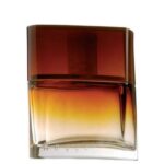 YVES ROCHER HOGGAR для мужчин flaconium.ru