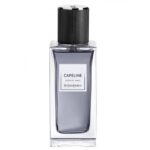YVES SAINT LAURENT CAPELINE унисекс flaconium.ru