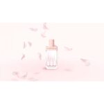 WOMEN SECRET INTIMATE для женщин flaconium.ru