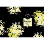 HAYARI PARFUMS SOURCE JOYEUSE NO1 унисекс flaconium.ru