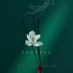 PENHALIGON’S EAU DE AUDACITY унисекс flaconium.ru