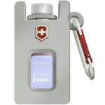 VICTORINOX SWISS ARMY SWISS ARMY UNLIMITED SNOWPOWER для мужчин flaconium.ru