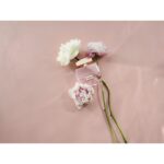 FURLA AUTENTICA для женщин flaconium.ru