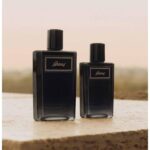 BRIONI BRIONI EAU DE PARFUM INTENSE для мужчин flaconium.ru
