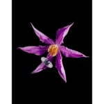 RUBEUS MILANO GELSOMINO унисекс flaconium.ru