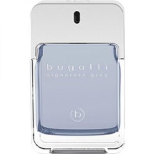 BUGATTI FASHION SIGNATURE GREY для мужчин flaconium.ru