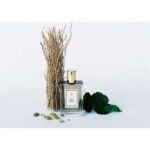 UNE NUIT NOMADE MR. VETIVER для мужчин flaconium.ru