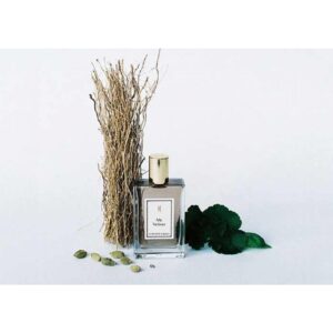 UNE NUIT NOMADE MR. VETIVER для мужчин flaconium.ru