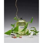 CARINE ROITFELD CARINE унисекс flaconium.ru