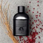 MONCLER MONCLER SUNRISE POUR HOMME для мужчин flaconium.ru