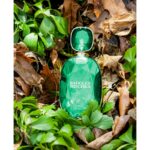 BADGLEY MISCHKA FOREST NOIR для женщин flaconium.ru