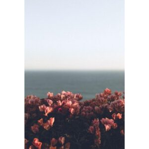 MAISON DE L’ASIE MOTHER X LOVE унисекс flaconium.ru