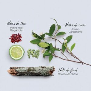 MAUBOUSSIN MAUBOUSSIN DISCOVERY для мужчин flaconium.ru