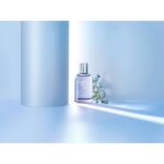 VICTORINOX SWISS ARMY FORGET ME NOT для женщин flaconium.ru