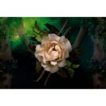 PIERRE GUILLAUME PARIS ORCHIDIVY 21.1 унисекс flaconium.ru