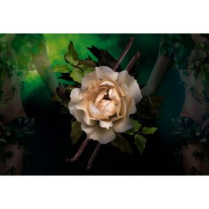 PIERRE GUILLAUME PARIS ORCHIDIVY 21.1 унисекс flaconium.ru