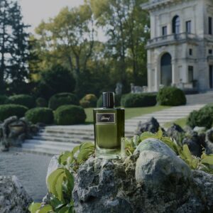 BRIONI BRIONI EAU DE PARFUM ESSENTIEL для мужчин flaconium.ru