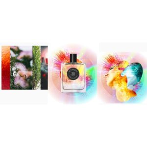 PIERRE GUILLAUME PARIS ALPHAORA 30 унисекс flaconium.ru