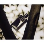 BRIONI BRIONI EAU DE PARFUM INTENSE для мужчин flaconium.ru