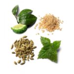 BRIONI BRIONI EAU DE PARFUM ESSENTIEL для мужчин flaconium.ru