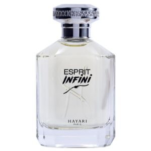 HAYARI PARFUMS ESPRIT INFINI унисекс flaconium.ru
