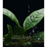 DOLCE & GABBANA VELVET INFUSION унисекс flaconium.ru