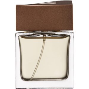 BRIONI BRIONI MAN EAU DE PARFUM для мужчин flaconium.ru
