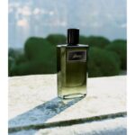 BRIONI BRIONI EAU DE PARFUM ESSENTIEL для мужчин flaconium.ru