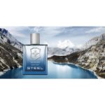 VICTORINOX SWISS ARMY STEEL для мужчин flaconium.ru