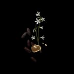 VALENTINO VALENTINO NOIR ABSOLU MUSC ESSENCE унисекс flaconium.ru