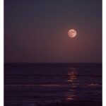 MAISON DE L’ASIE LES NUITS DE BALI унисекс flaconium.ru