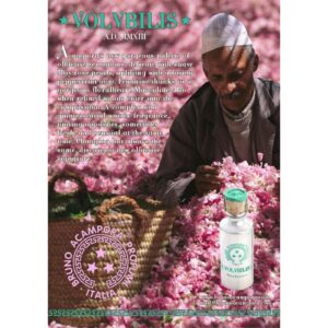 BRUNO ACAMPORA VOLUBILIS унисекс flaconium.ru