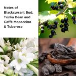 ELIZABETH ARDEN 5TH AVENUE PULSE для женщин flaconium.ru