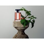 L’ARTISAN PARFUMEUR VETIVER ECARLATE унисекс flaconium.ru