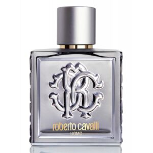 ROBERTO CAVALLI ROBERTO CAVALLI UOMO SILVER ESSENCE для мужчин flaconium.ru