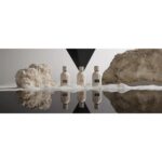 AMOUAGE REASONS унисекс flaconium.ru