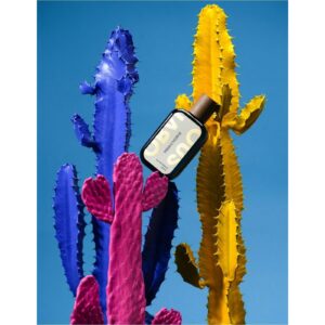 OBVIOUS FRIDA’S THORNS унисекс flaconium.ru