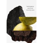 HERMES TERRE D’HERMES INTENSE для мужчин flaconium.ru