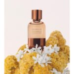 BRUNELLO CUCINELLI SOGNO NOTTURNO унисекс flaconium.ru